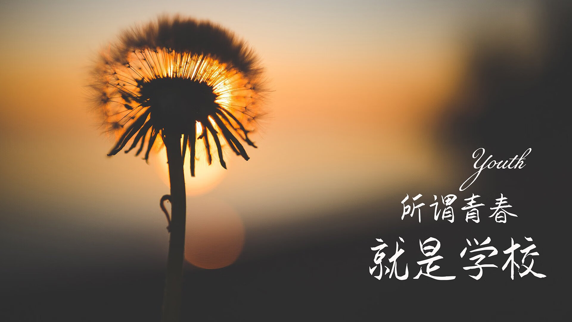 体育场馆环境优化方案，体育场馆运营方案提纲