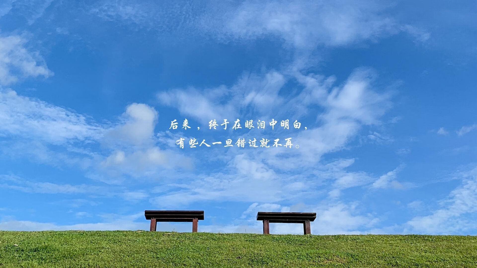 维尔·冯·威克:充分发挥体能优势,攻破对方防线为南非队创造机会